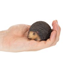 Product Hedgehog Decorative Figurine for Autumn, 8cm, Polyresin, Brown