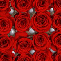 Product Infinity Roses Real Flowers Mini Rose Heads Red Ø3cm 16 pcs