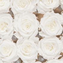 Product Infinity Roses Real Rose Heads Mini Roses White Ø3cm 16 pcs