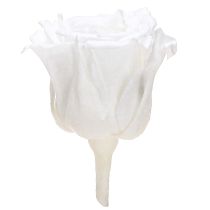 Product Mini Forever Roses Preserved Flowers White Ø3cm 16pcs