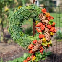 Iceland moss wreath wall decoration natural wreath green preserved Ø34cm