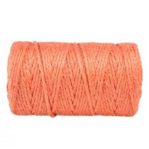 Product Jute ribbon jute cord decorative ribbon jute orange Ø4mm 100m