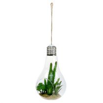 Cactus in the glass for hanging 21cm