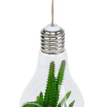 Product Cactus in the glass for hanging 21cm