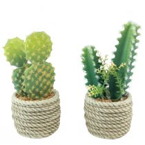 Product Cactus in pot artificial cactus assorted 28cm 2pcs