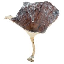 Kalix mushroom washed white 100p