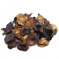 Product Kalix Mushroom Natural Varnished Dried Mushrooms Decoration Large 50 pcs