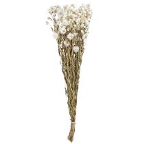 Product Chamomile Dried Flowers Decoration Flowers White Bunch 65cm 50g