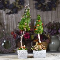 Product Planters with acorns and leaves, ceramic planter green, white, gray Ø17cm H9.5cm set of 3