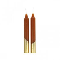 Product Tree candles pyramid candles Ø13×H105mm brown, golden 10pcs