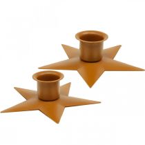 Product Candlestick candles Advent star brown Ø9.5cm 4pcs