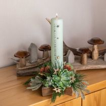 Product Candlestick, table decoration Christmas, candlestick star H7cm Ø20cm/6.5cm