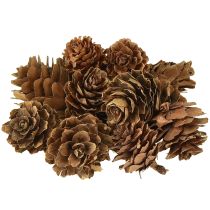 Product Pine cones natural small cones decoration in net 2.5-3.5cm 300g
