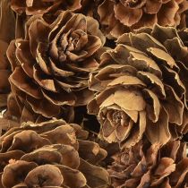 Product Pine cones natural small cones decoration in net 2.5-3.5cm 300g