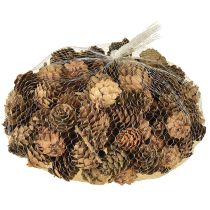 Product Pine cones natural small cones decoration in net 2.5-3.5cm 300g