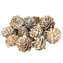Product Whitened pine cones, small cones decoration in a net, 2.5-3.5 cm, 500 g