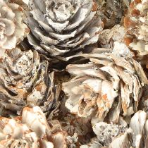 Product Whitened pine cones, small cones decoration in a net, 2.5-3.5 cm, 500 g
