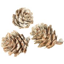 Product Whitened pine cones, small cones decoration in a net, 2.5-3.5 cm, 500 g