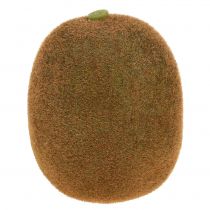 Kiwi 7.5cm