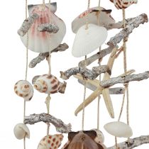 Product Wind chime maritime starfish shells 80cm