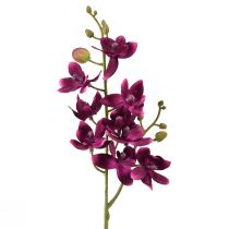 Product Small Orchid Phalaenopsis Artificial Flower dark purple 30cm