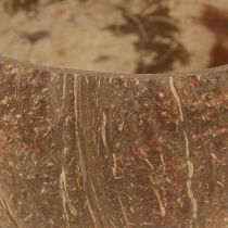 Product Coconut Shell Natural Decoration Coconut Shell Halved 10cm 6 Pcs