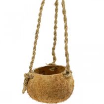 Hanging coconut bowl, natural plant bowl, hanging basket Ø8cm L55cm