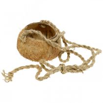 Product Hanging coconut bowl, natural plant bowl, hanging basket Ø8cm L55cm