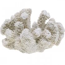 Maritime decoration coral white artificial polyresin small 13.5x12 cm