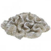 Product Maritime decoration coral beige white artificial polyresin 23x20cm