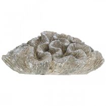 Product Maritime decoration coral beige white artificial polyresin 23x20cm