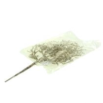 Product Coral branch with mica light gold 3pcs