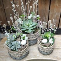 Product Basket braided oval plant basket nature, gray 29/24cm set of 2