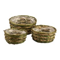 Basket round plant basket braided green wood Ø26/21/18cm set of 3
