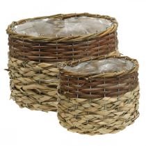 Wicker Basket Natural Wicker Plant Bowl Natural L30/22cm H20/17cm Set of 2