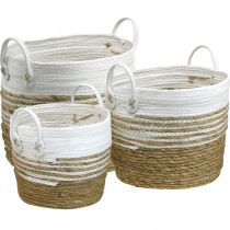 Product Basket for planting, utensil with handles, organizer white, natural Ø32/28/23cm H30/25/19cm set of 3