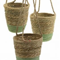 Hanging basket, natural basket, planter for hanging natural, green Ø19/17/15cm set of 3