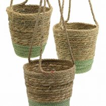 Product Hanging basket, natural basket, planter for hanging natural, green Ø19/17/15cm set of 3