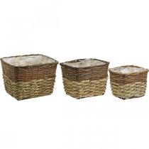 Product Plant basket, natural container for planting, square flower bowl natural L29.5/26/23cm H21/19/16cm set of 3