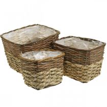 Product Plant basket, natural container for planting, square flower bowl natural L29.5/26/23cm H21/19/16cm set of 3