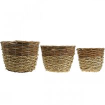 Product Natural willow basket set, 3 round planting baskets, decorative planters Ø27/25/20cm, rustic wickerwork