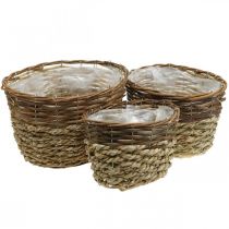 Product Natural basket for planting, basket decoration, plant bowls natural L21/19/16cm H21/19/16cm set of 3