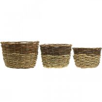 Product Natural basket for planting, basket decoration, plant bowls natural L21/19/16cm H21/19/16cm set of 3