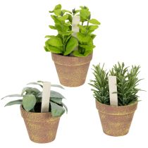 Product Artificial herb pot with decorative herbs for kitchen, garden, balcony or terrace, 15m³, 3 pieces