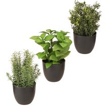 Product Artificial herbs basil thyme rosemary Ø11.5cm 3pcs