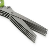 Chives scissors with 5 blades