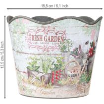 Product Herb pot flower pot plastic Fresh Garden H13.5cm 2pcs
