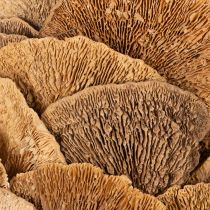 Product Natural Baumschwamm Wreath for Wall or Door Decoration, 37cm