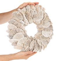 Product Natural Baumschwamm Wreath with Fiber Base 37cm
