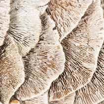 Product Natural Baumschwamm Wreath with Fiber Base 37cm